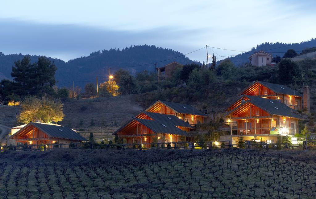 Hyades Mountain Resort Kato Sinikia Trikalon Exterior photo