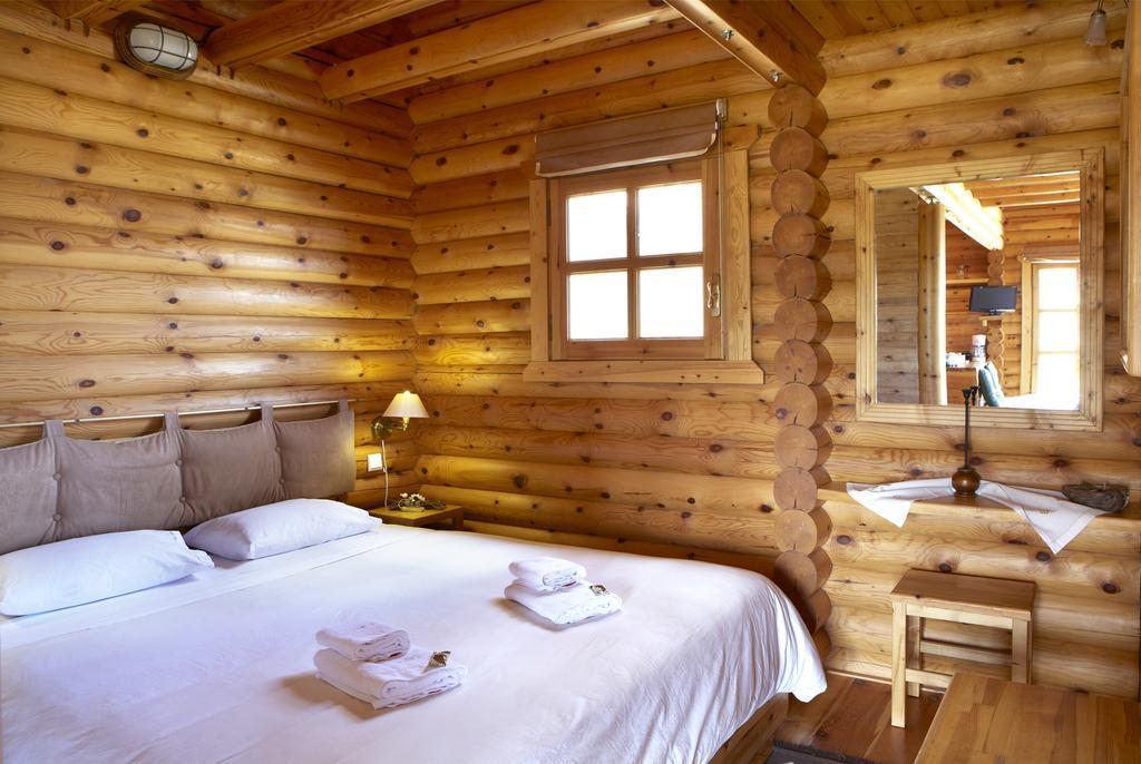 Hyades Mountain Resort Kato Sinikia Trikalon Exterior photo
